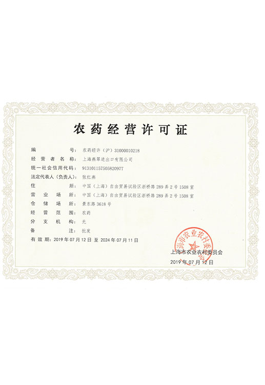 Company Profile