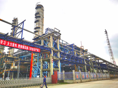 Company Profile